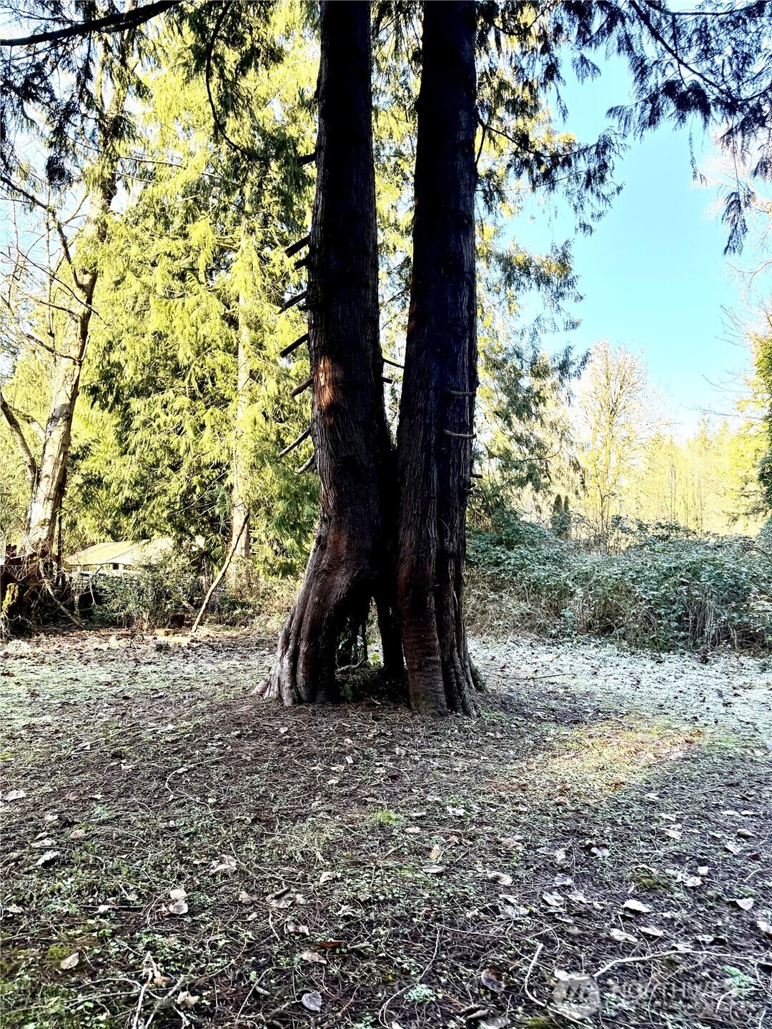 41671 Mountain View Lane Concrete WA 98237