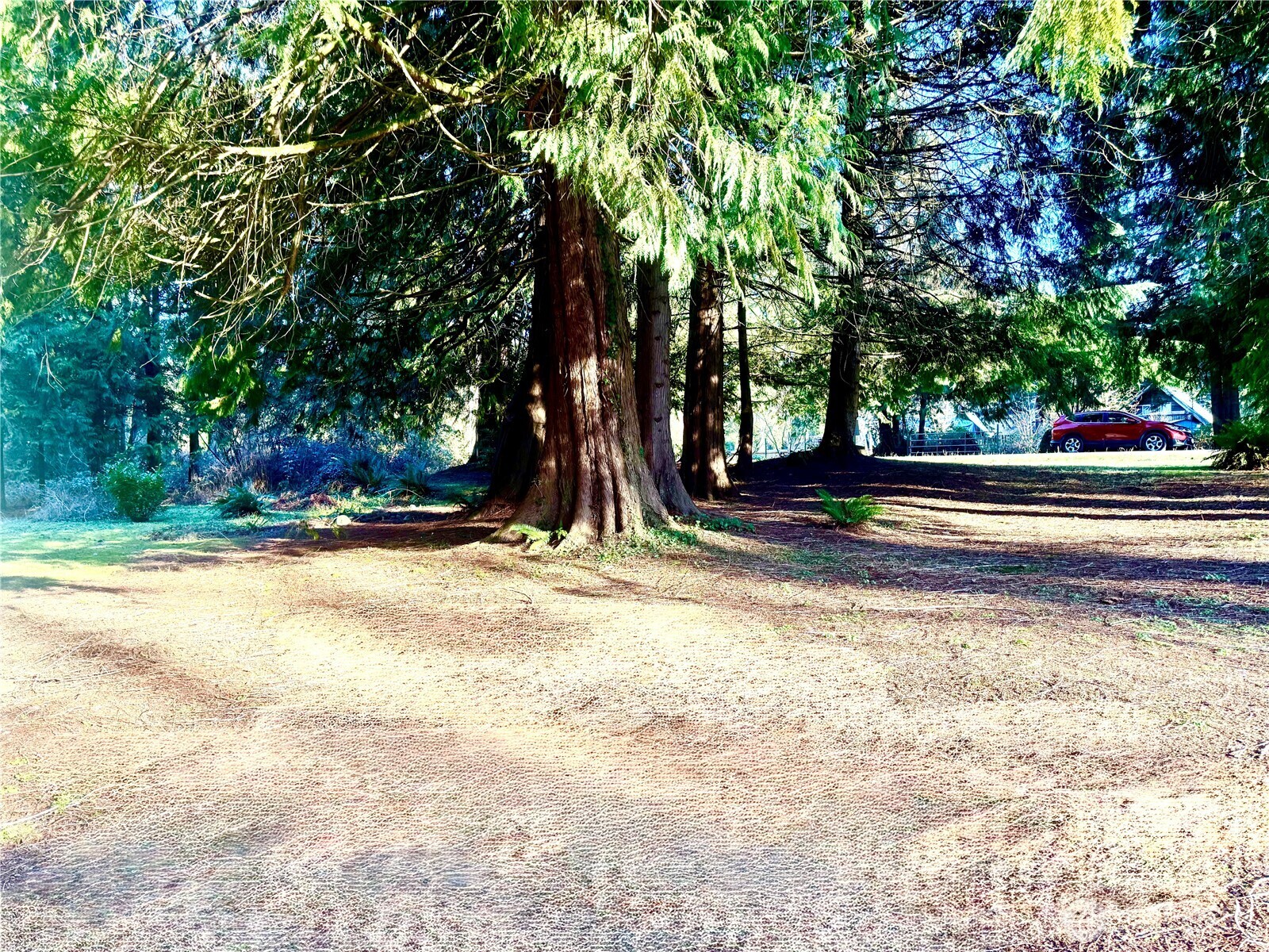 41671 Mountain View Lane Concrete WA 98237
