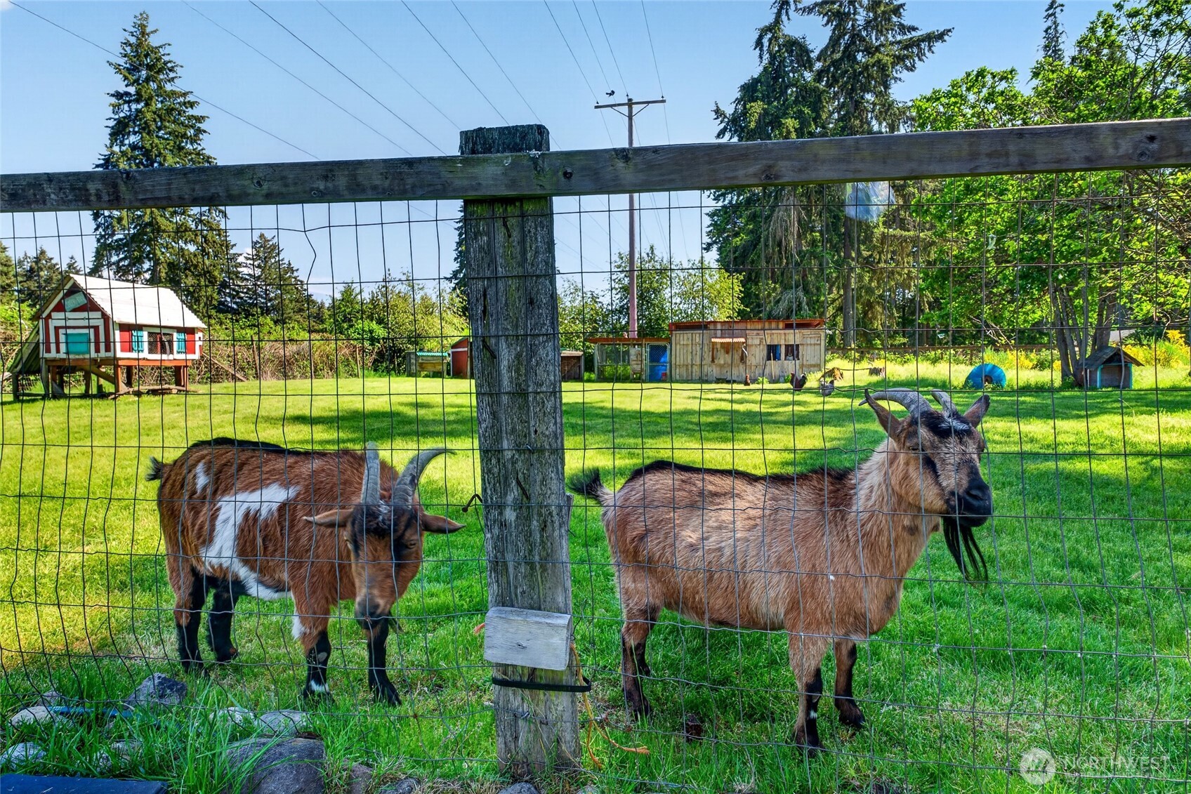 22814 46th Avenue E Spanaway WA 98387