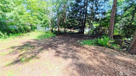 50 Dogwood Lane Brinnon WA 98320