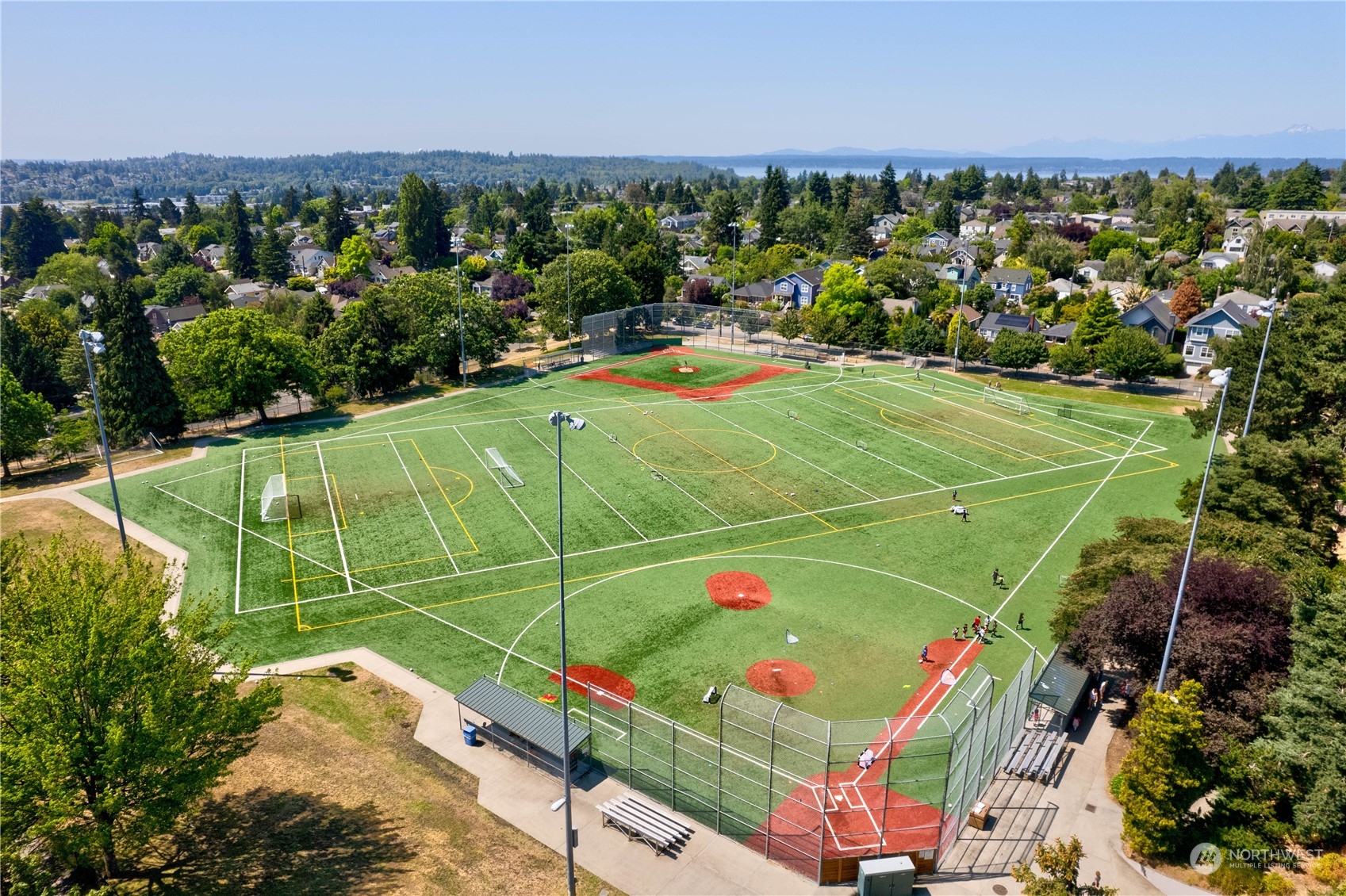 8356 19 Avenue NW Seattle WA 98117