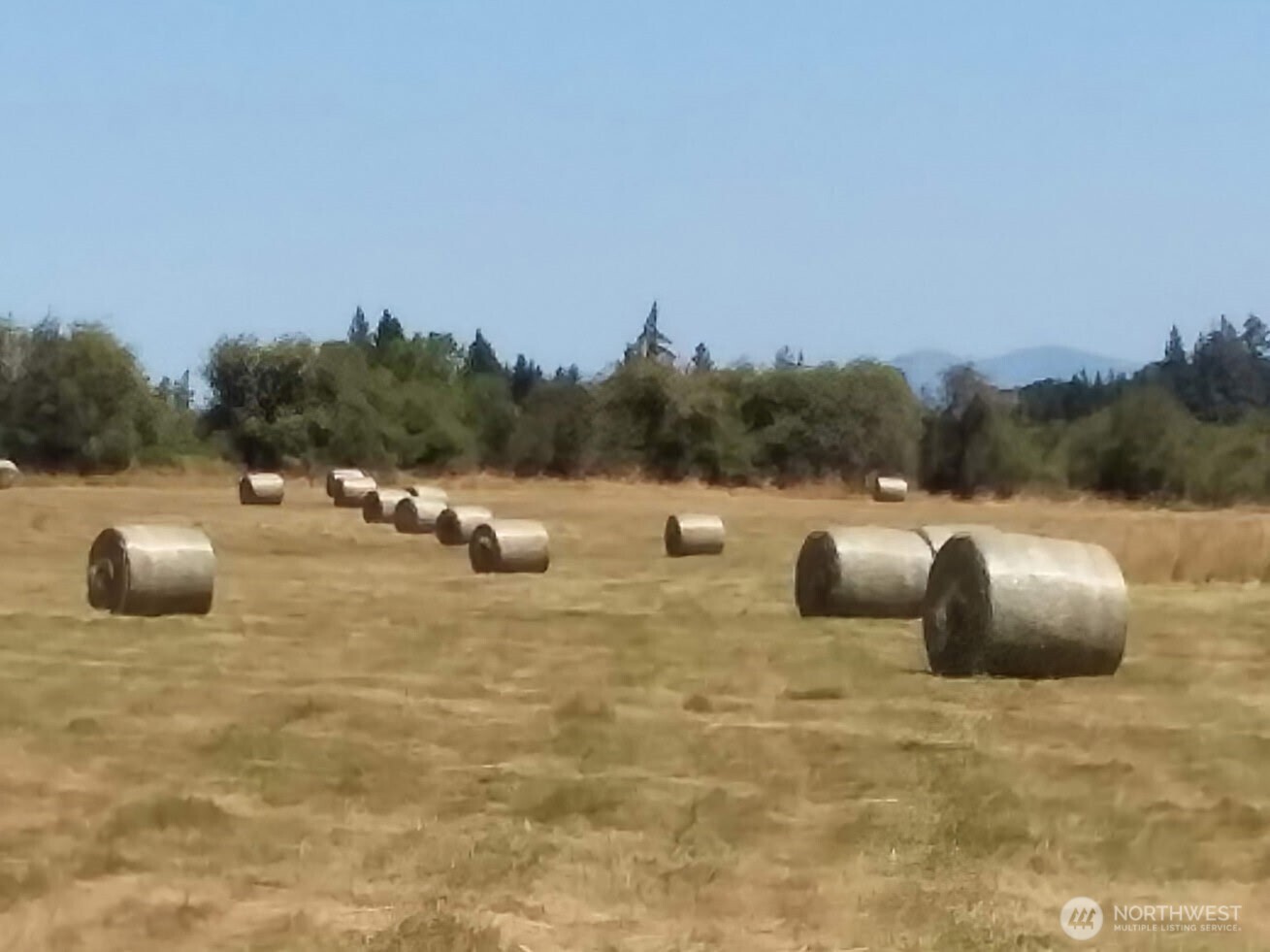 570 Drews Prairie Road Winlock WA 98596