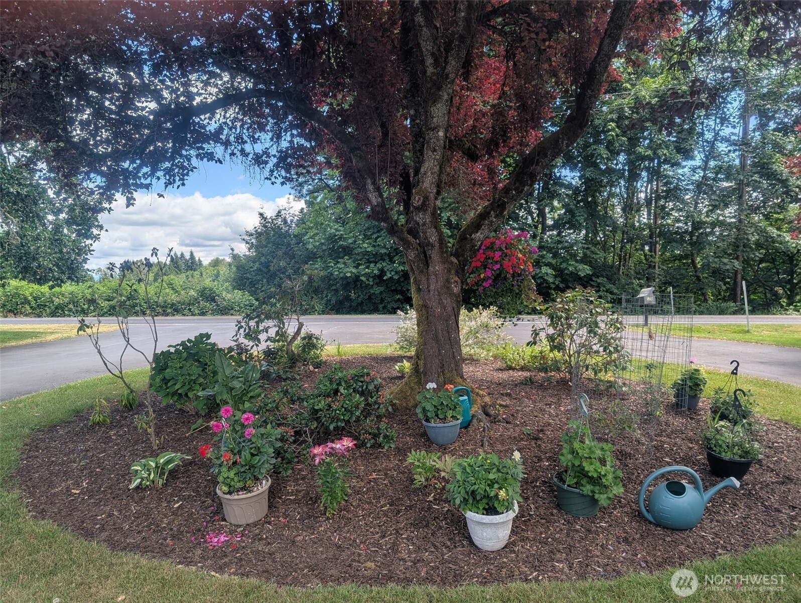 570 Drews Prairie Road Winlock WA 98596