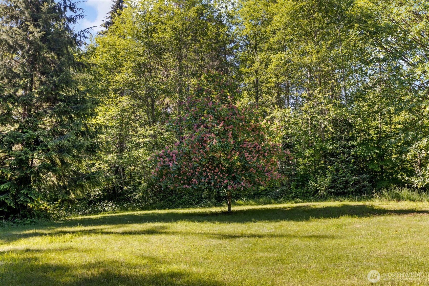 17805 324th Avenue NE Duvall WA 98019