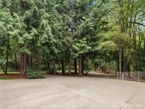 24214 SE 18th Place Sammamish WA 98075