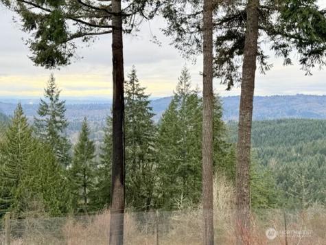 255 Astro Drive Kelso WA 98626