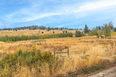 154 Knox Road Riverside WA 98849
