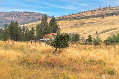 154 Knox Road Riverside WA 98849