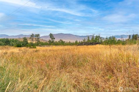 154 Knox Road Riverside WA 98849
