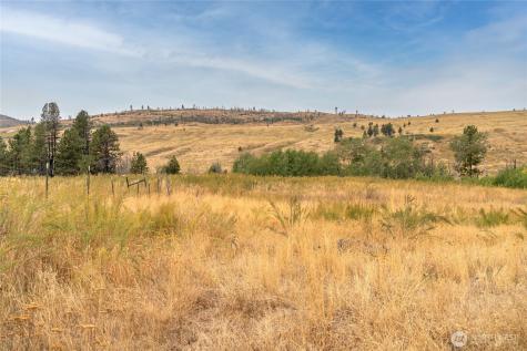 154 Knox Road Riverside WA 98849