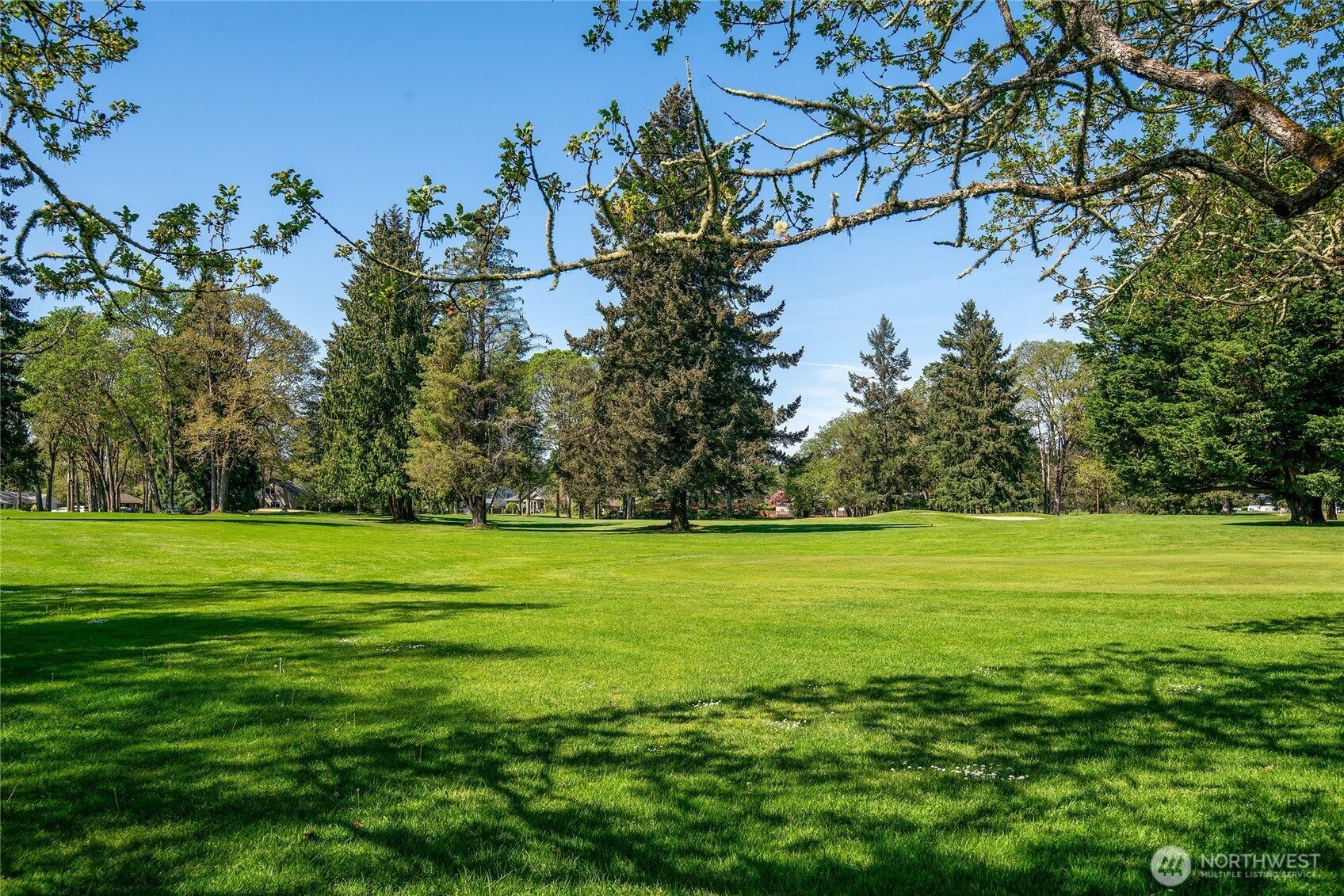 8001 Sapphire Drive SW Lakewood WA 98498