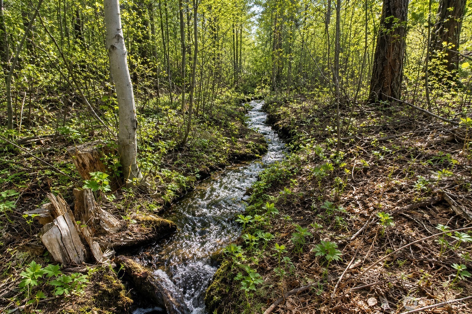37 E Buttermilk Creek Road Twisp WA 98856