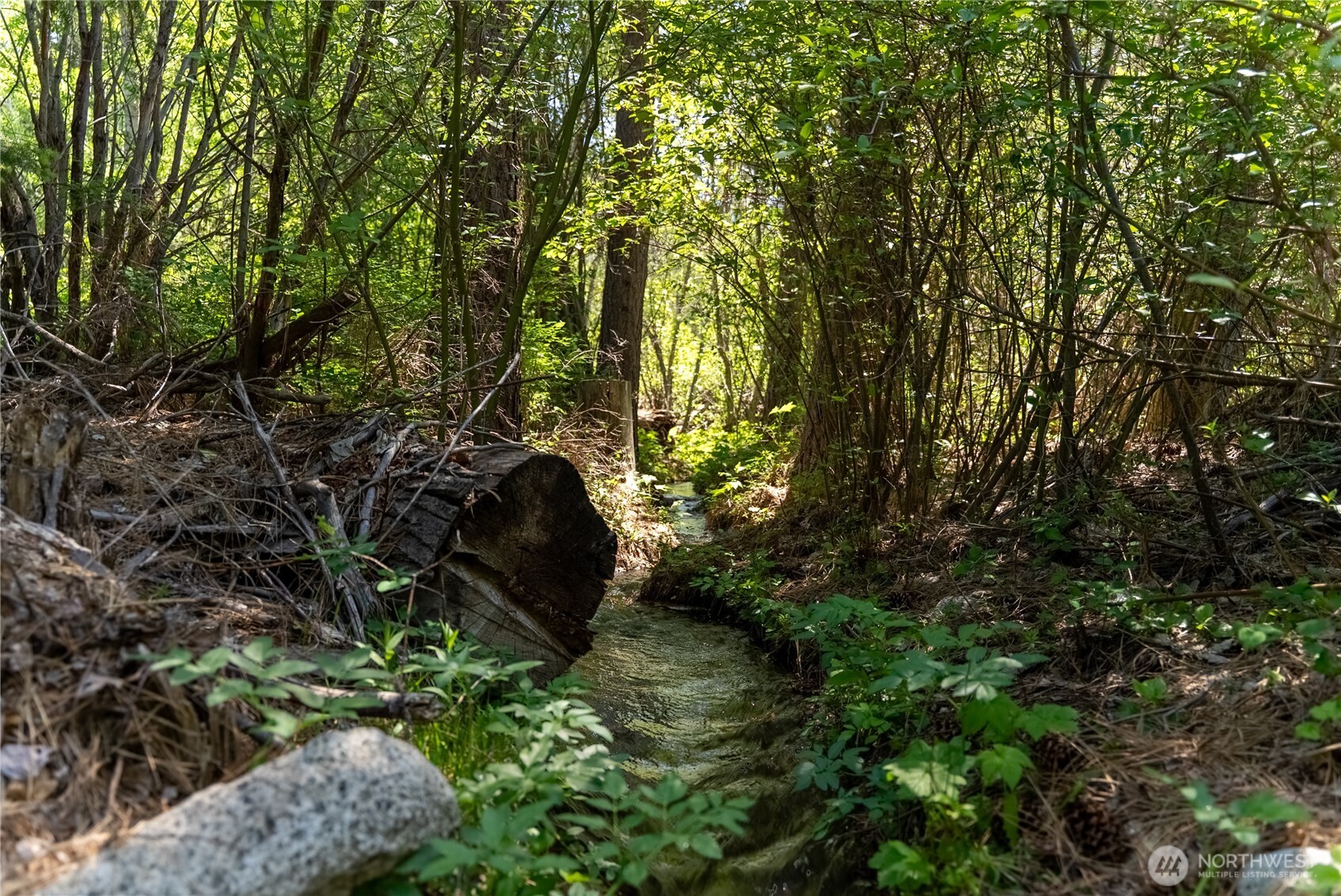 37 E Buttermilk Creek Road Twisp WA 98856