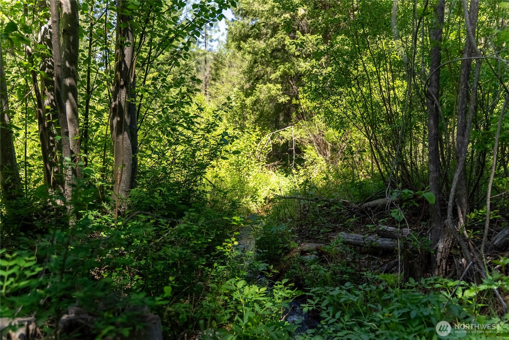 37 E Buttermilk Creek Road Twisp WA 98856