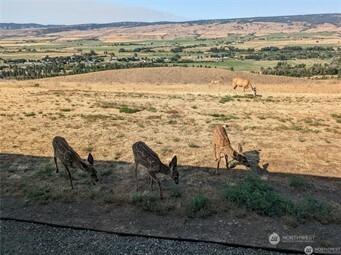 1561 Bitterbrush Drive Ellensburg WA 98926