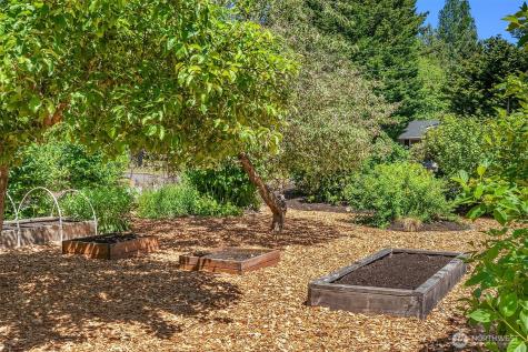 24026 54th Avenue W Mountlake Terrace WA 98043