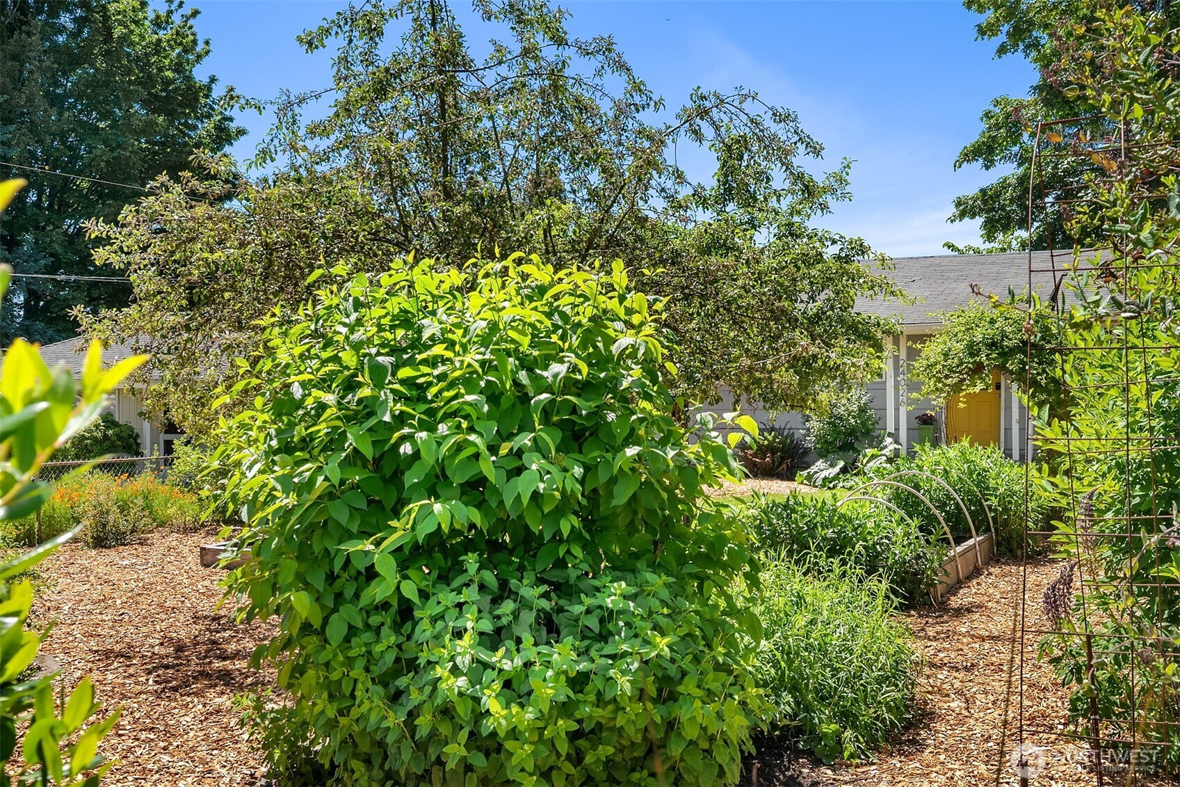 24026 54th Avenue W Mountlake Terrace WA 98043