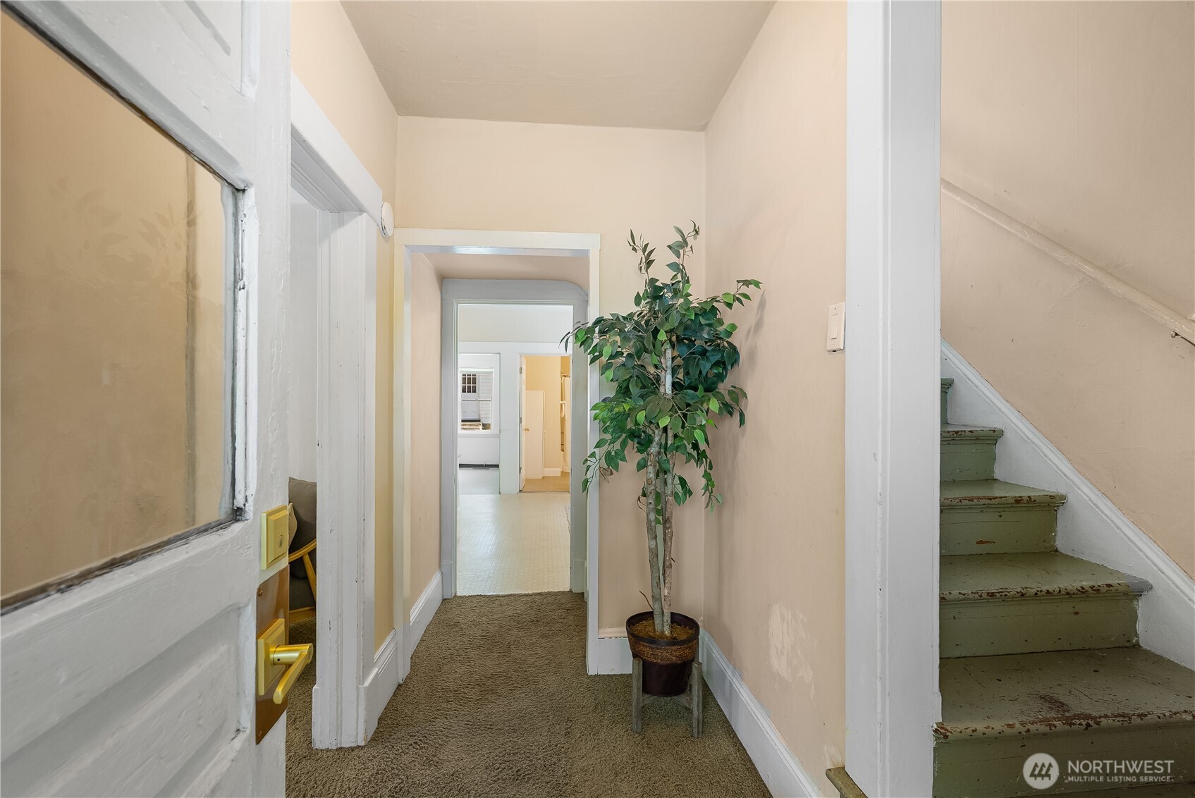 1152 Ellis Street Bellingham WA 98225