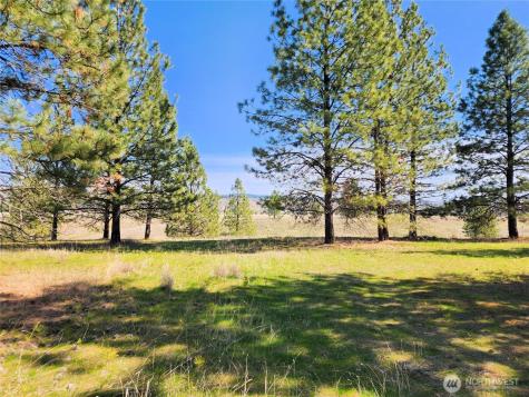39024 Petrie Lane E Davenport WA 99122