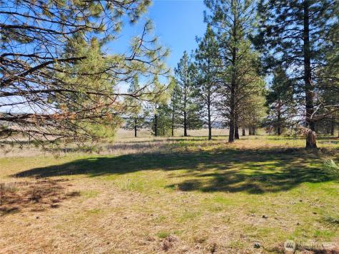 39024 Petrie Lane E Davenport WA 99122