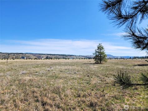 39024 Petrie Lane E Davenport WA 99122