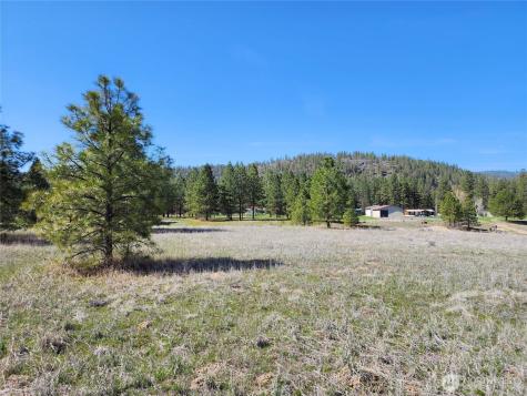 39024 Petrie Lane E Davenport WA 99122
