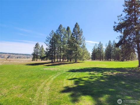 39024 Petrie Lane E Davenport WA 99122