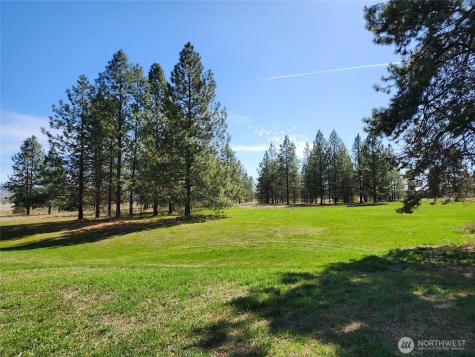 39024 Petrie Lane E Davenport WA 99122