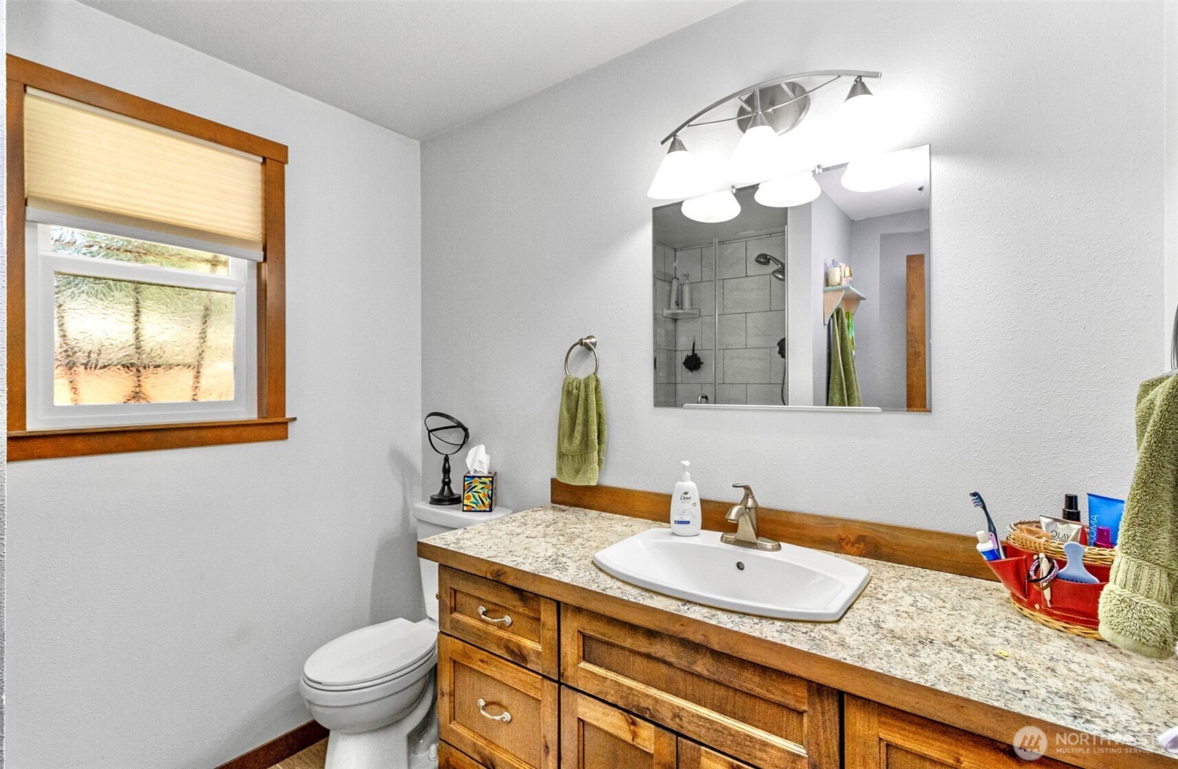 4128 177th Place NE Arlington WA 98223