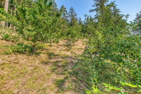 168 Trail Horse Road Orcas Island WA 98245