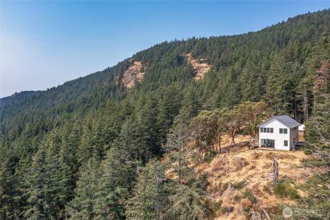 168 Trail Horse Road Orcas Island WA 98245