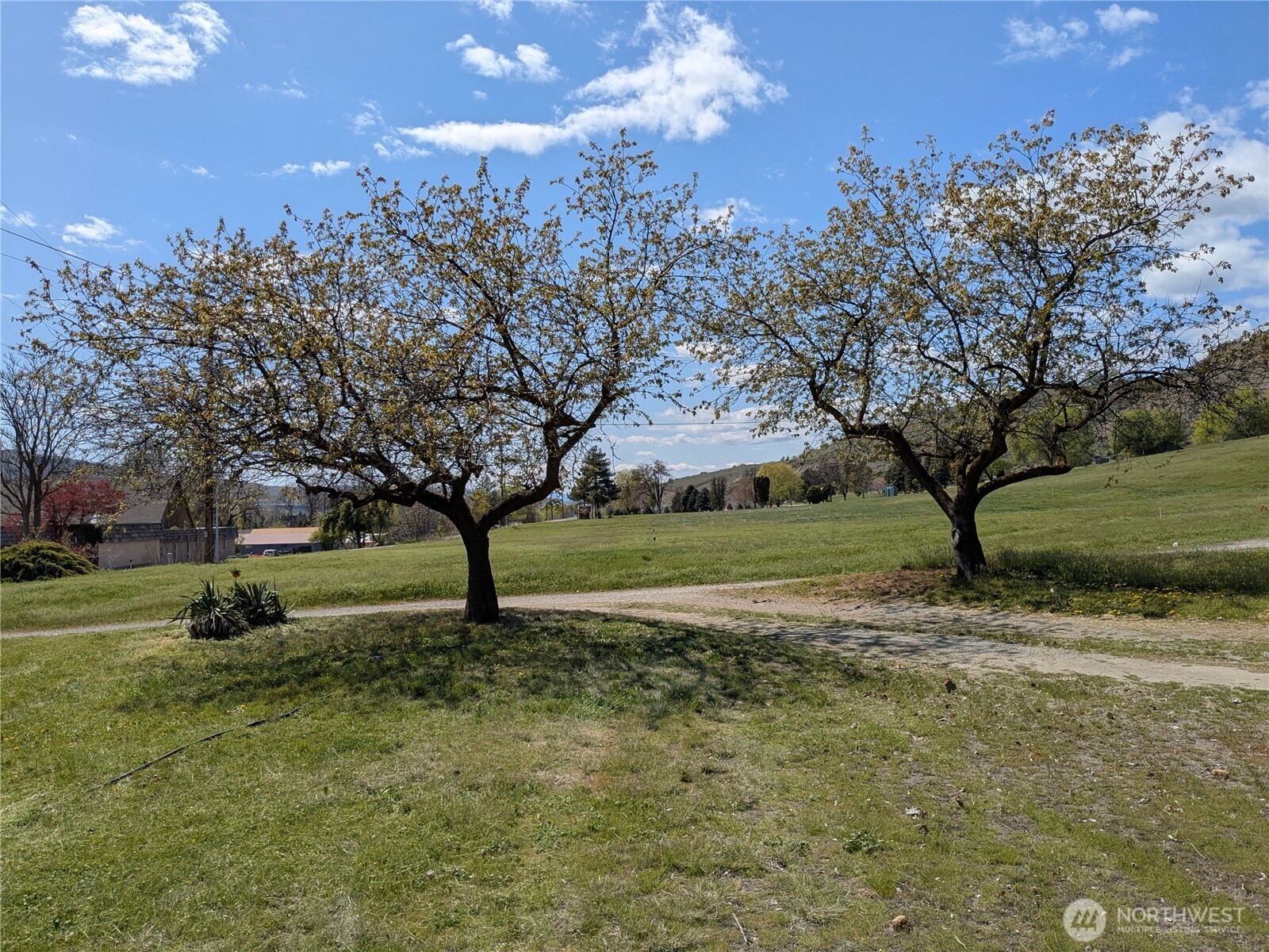 2549 N 4th Avenue Okanogan WA 98840