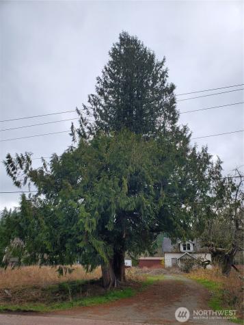 7740 196th Avenue NE Redmond WA 98053