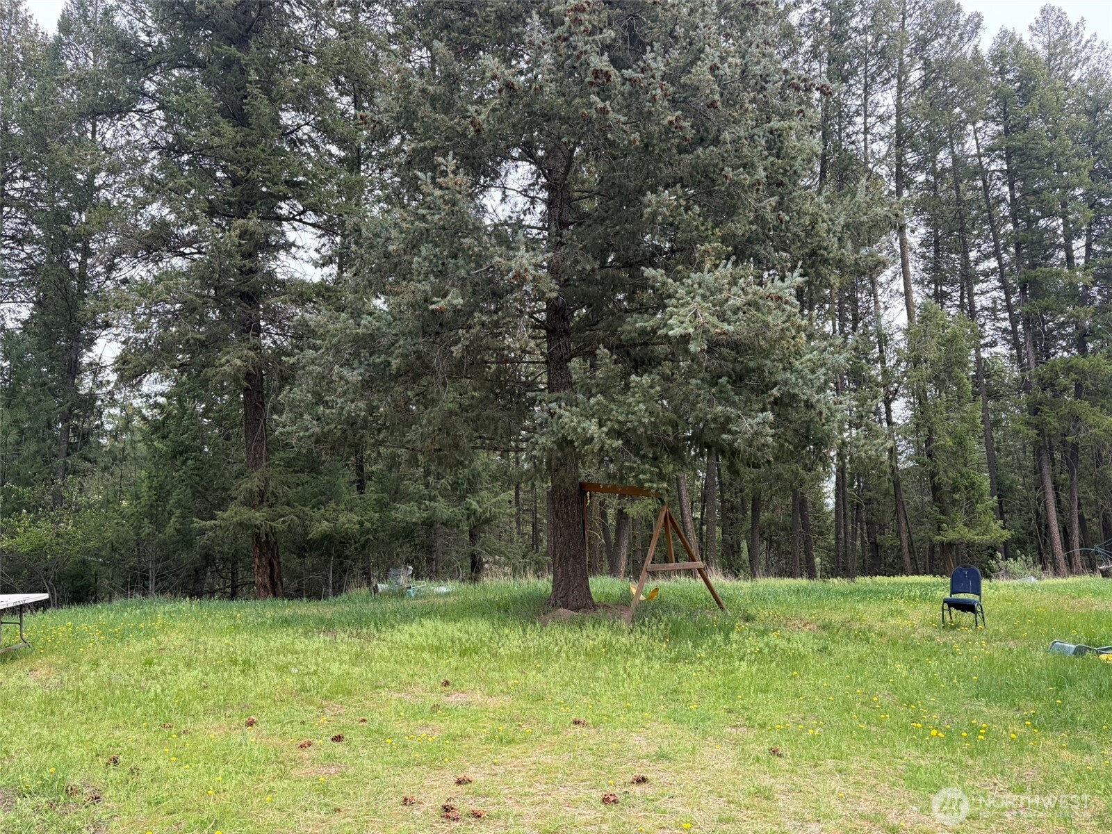 33 Old West Curlew Lake Road Republic WA 99166