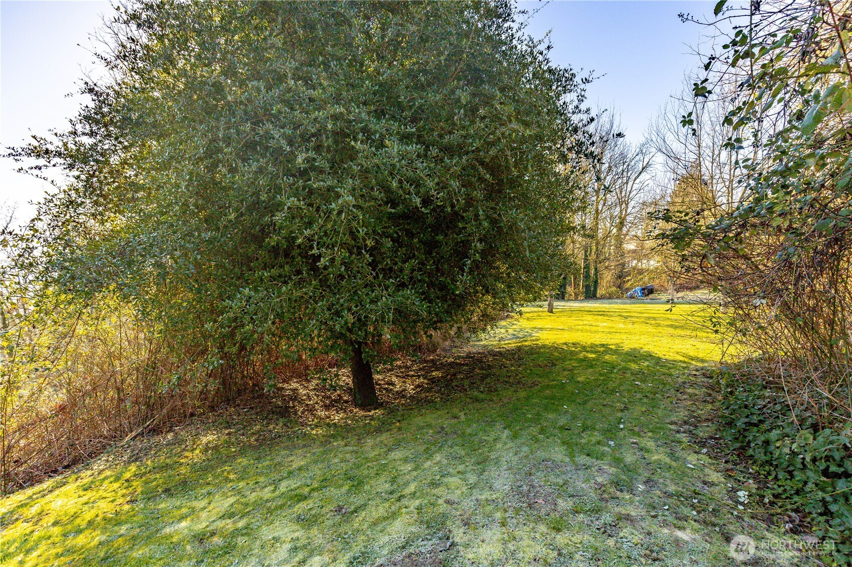 4823 S 146th Street Tukwila WA 98168