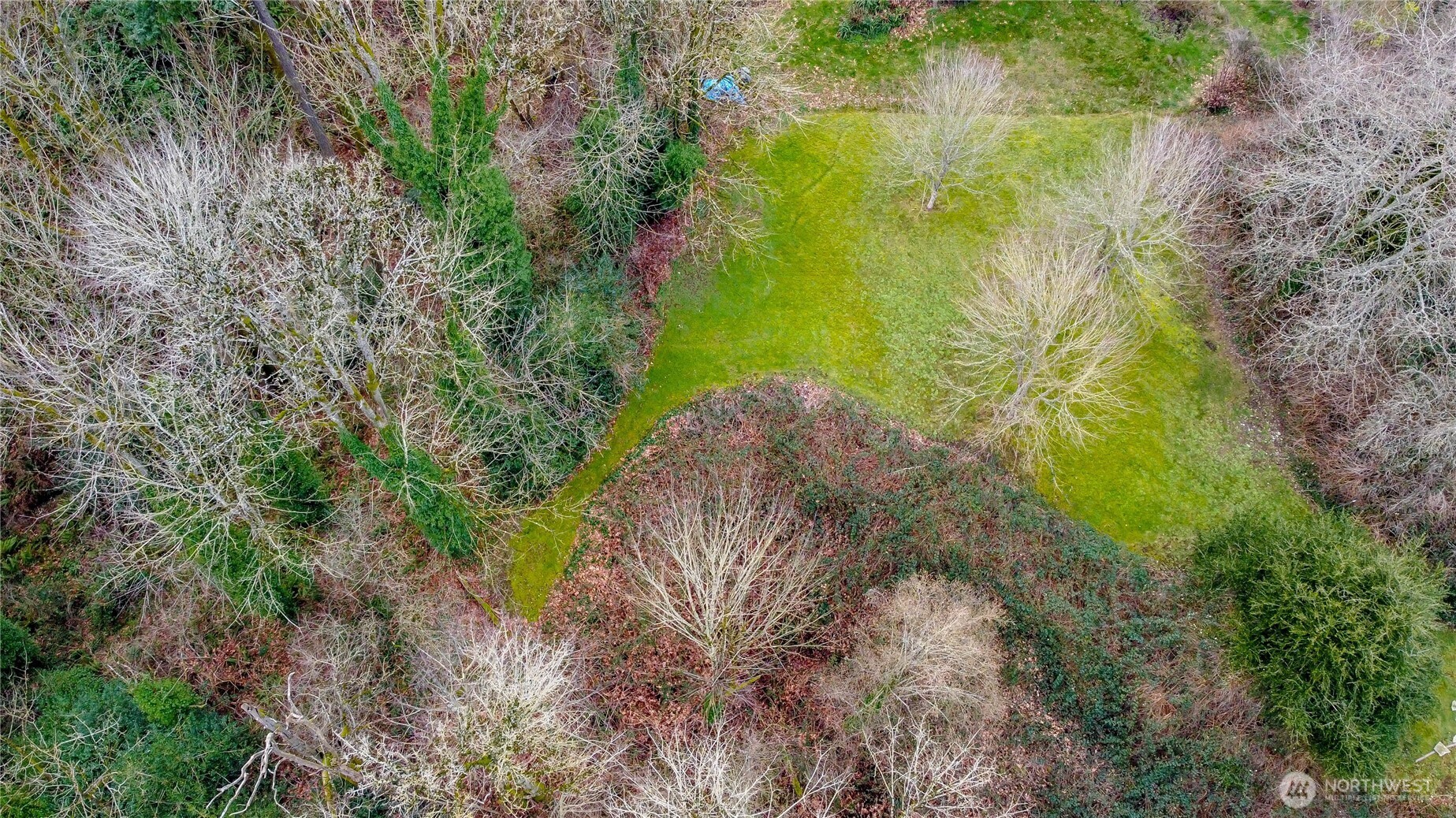 4823 S 146th Street Tukwila WA 98168