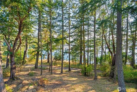 309 Afterglow Drive Friday Harbor WA 98250