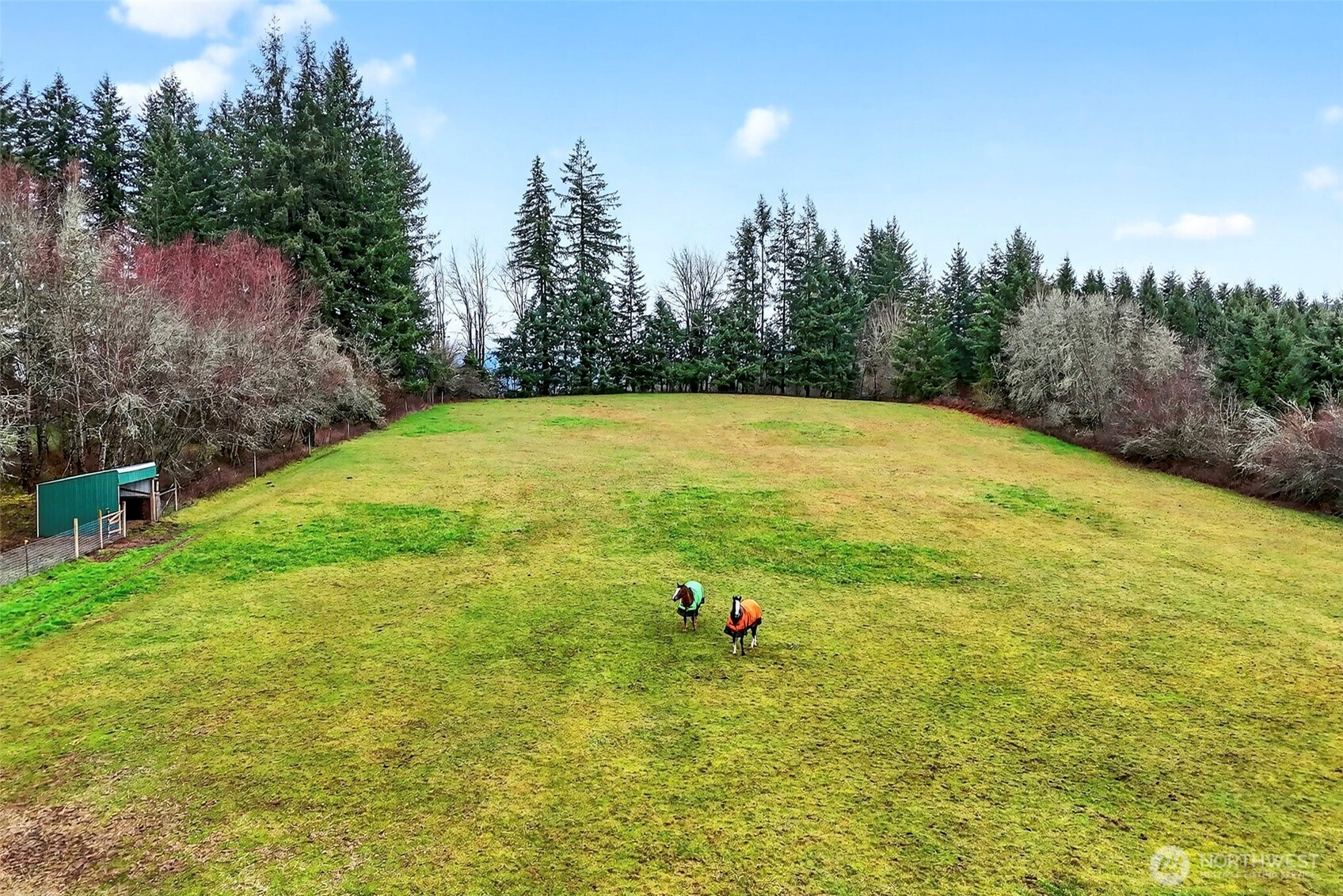 39310 NE 6th Avenue Woodland WA 98674