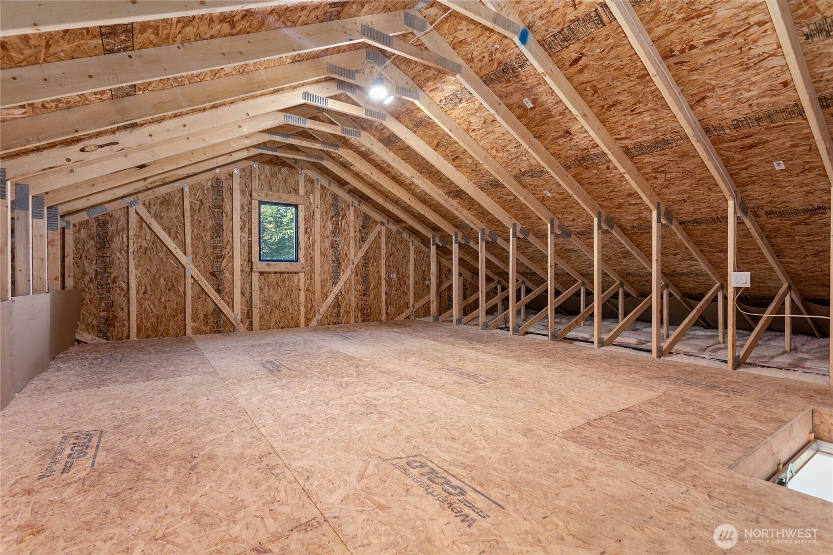 1005 Night Hawk Way Everson WA 98247