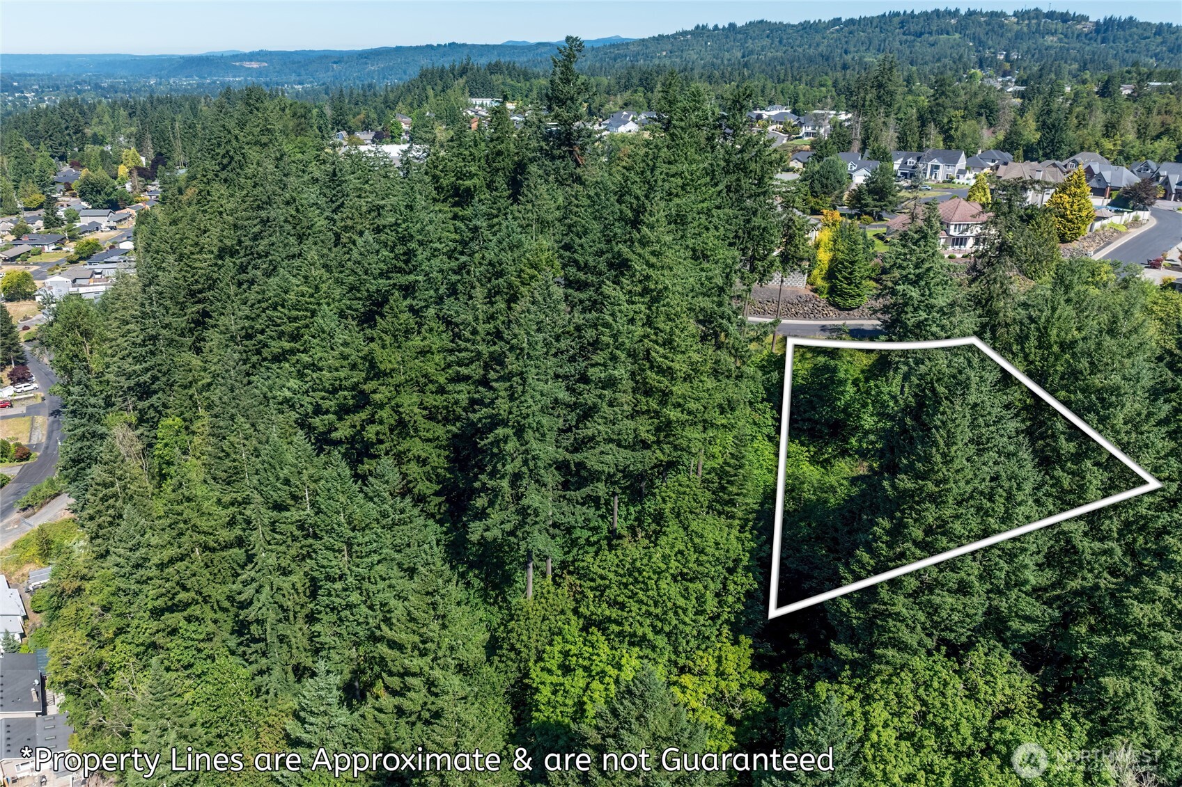 14 Forest Hill Longview WA 98632