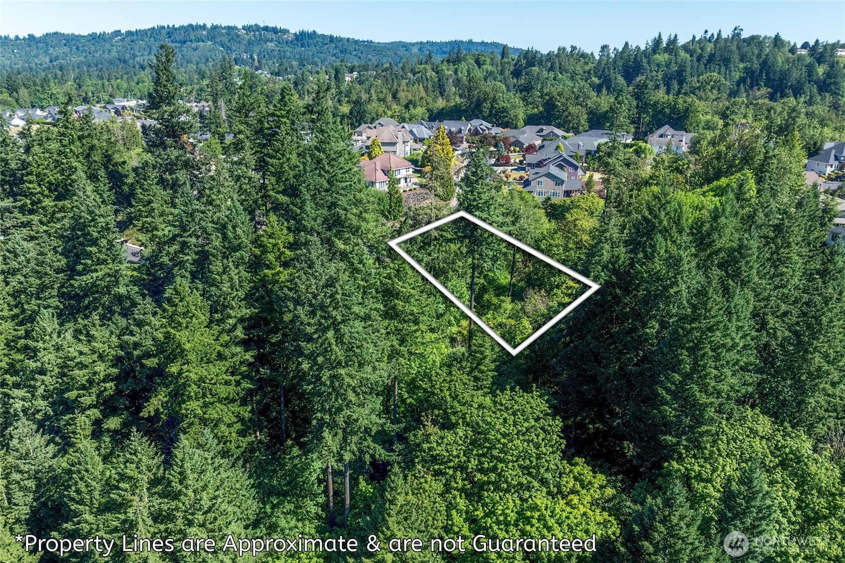 14 Forest Hill Longview WA 98632