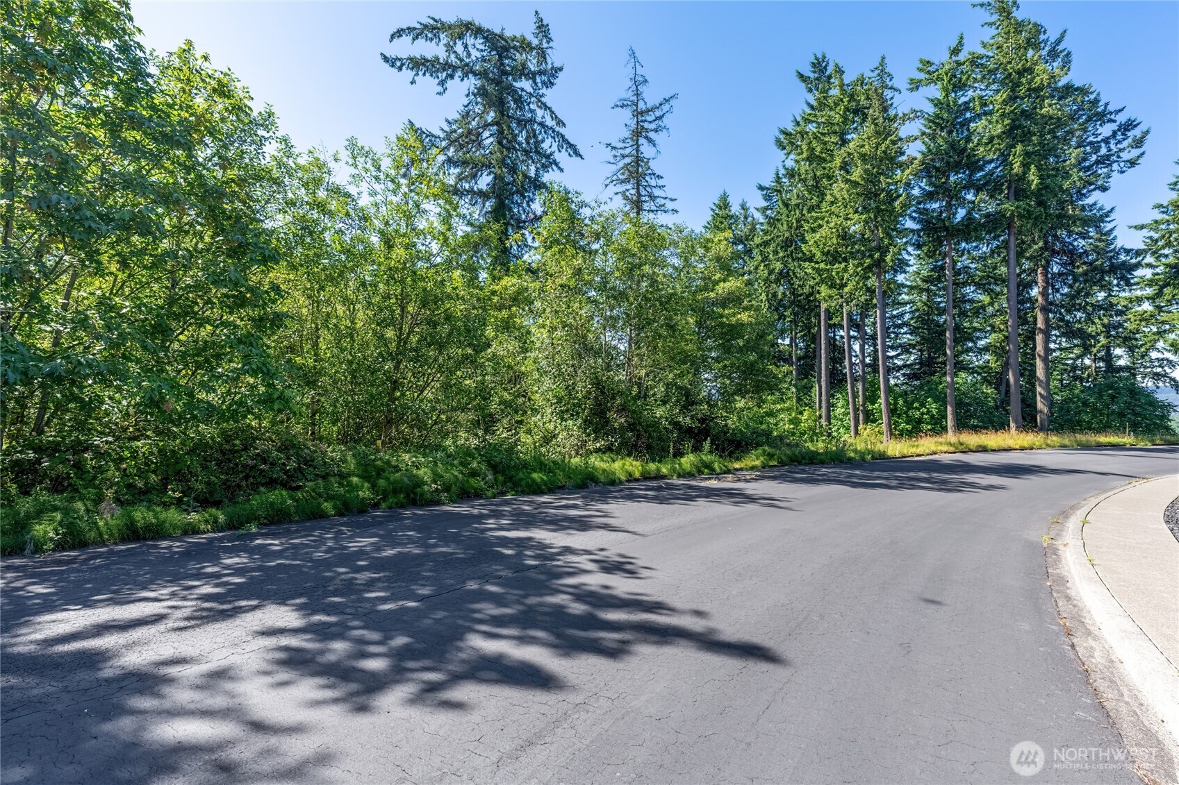 14 Forest Hill Longview WA 98632