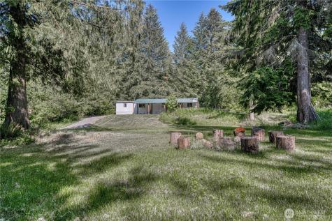 429 Mineral Creek Road Mineral WA 98355