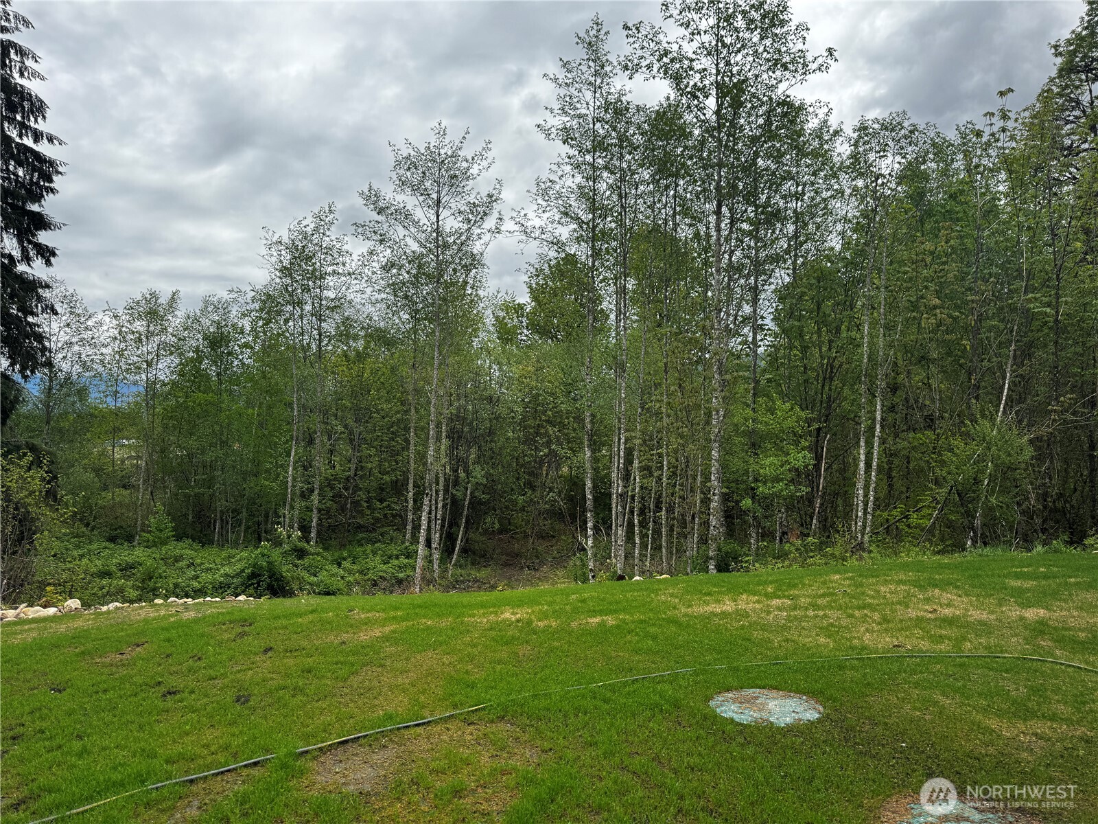 8657 Trillium Lane Concrete WA 98237