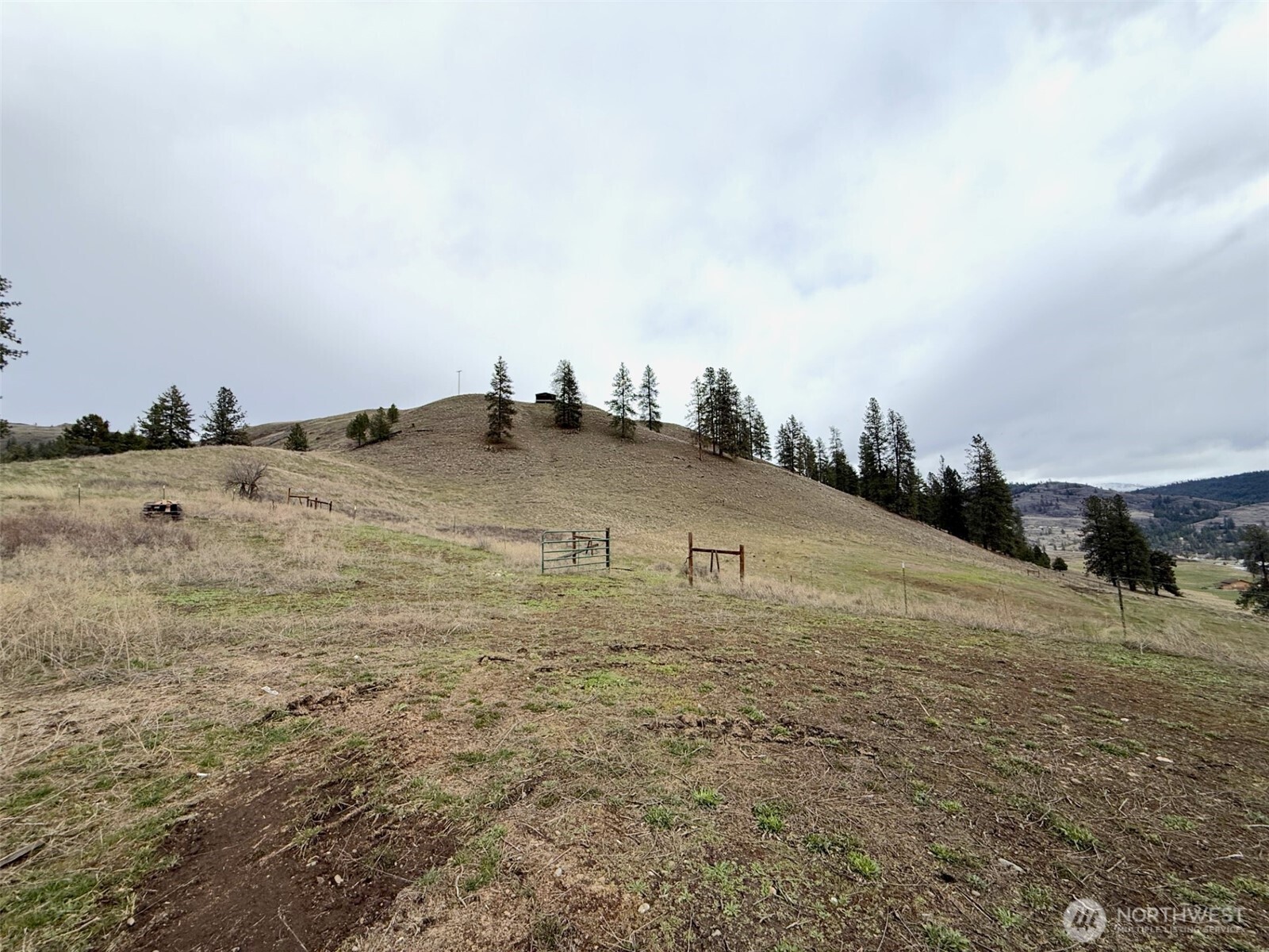 0 Cottonwood Creek Road Curlew WA 99118