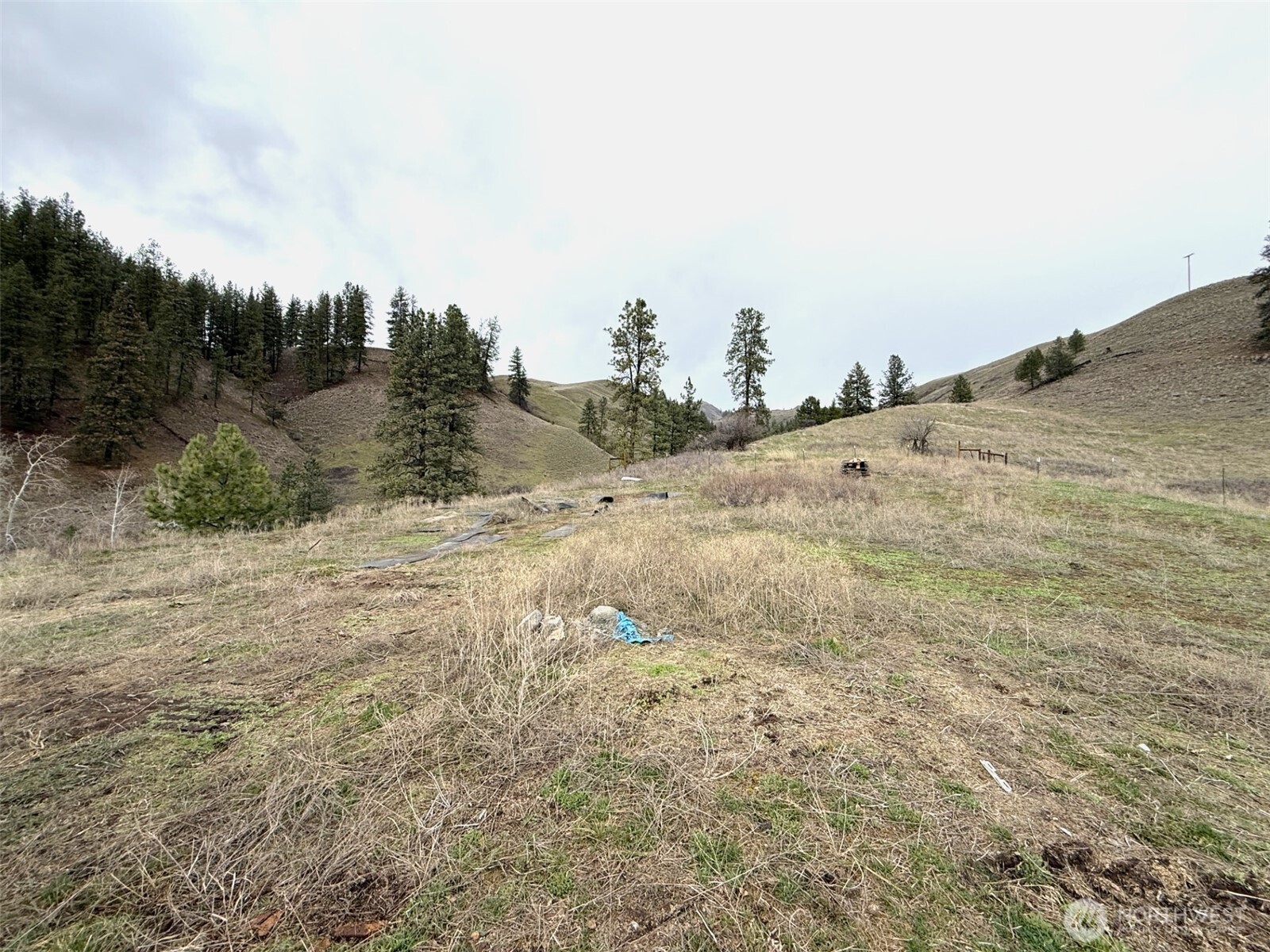 0 Cottonwood Creek Road Curlew WA 99118