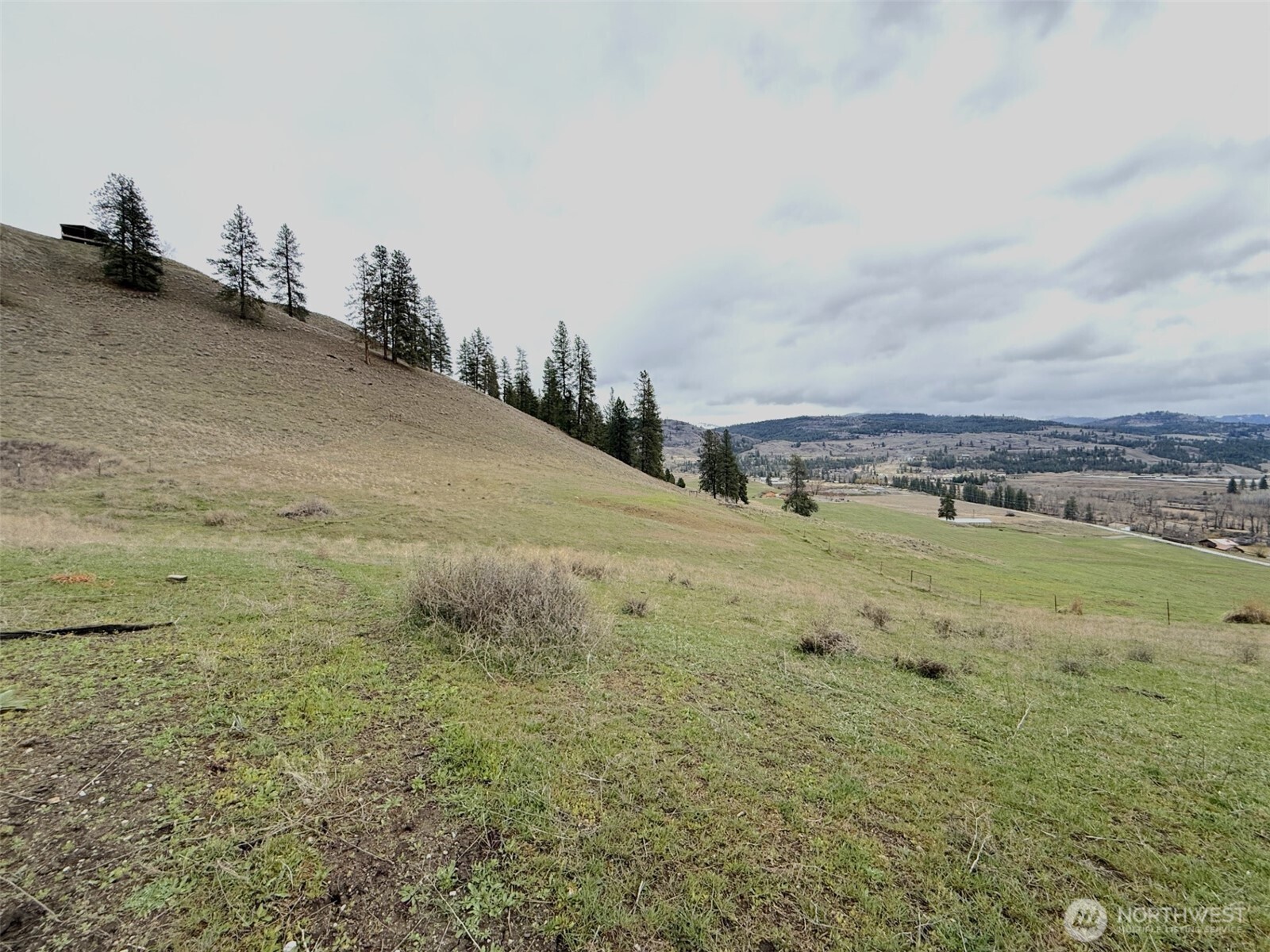 0 Cottonwood Creek Road Curlew WA 99118