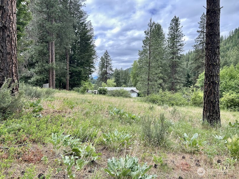 15425 Chumstick Highway Leavenworth WA 98826