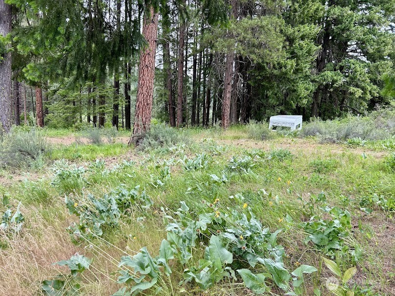 15425 Chumstick Highway Leavenworth WA 98826