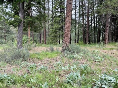 15425 Chumstick Highway Leavenworth WA 98826